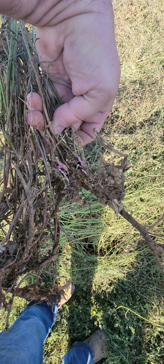 Jerry Hall tweet media