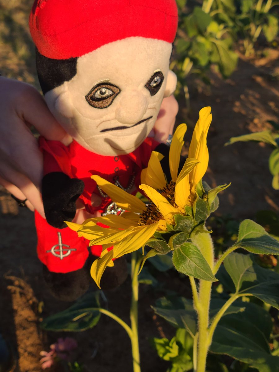 Subject_D3lta's tweet photo. Our sons had a pumpkin patch playdate https://t.co/PCN7T44hsa