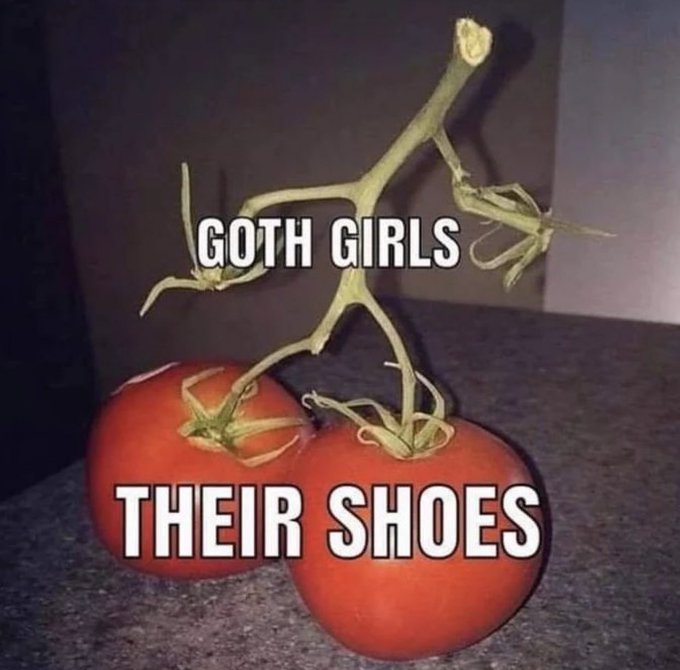 [Image: FfTno6cXEBAI-nt?format=jpg&name=small]