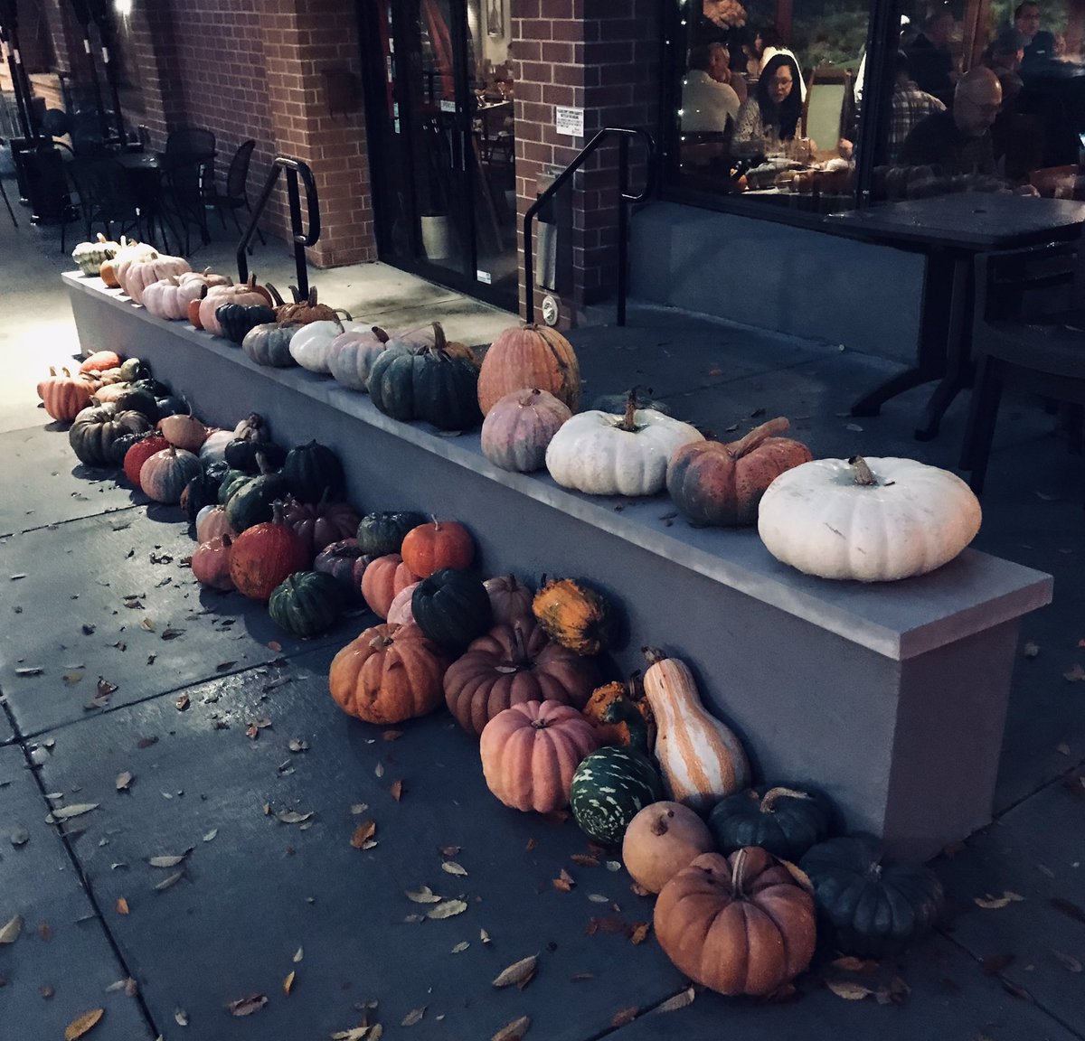 A smorgasbord of gourds — more than you can shake a broom at!