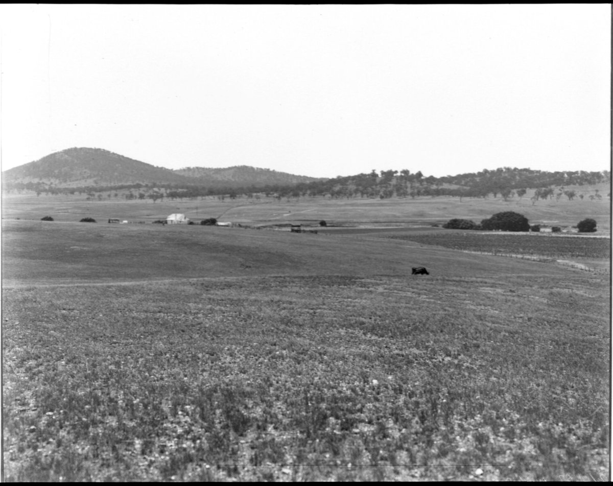 nswarchives's tweet photo. #OTD 18 Oct 1909, NSW agreed to surrender approx. 2400 sq kms of the state for the creation of the Australian Capital Territory. 

Walter Burley Griffin won an international comp in 1912 to design the capital and the name 'Canberra' was announced in 1913 https://t.co/ZgudHZRi2H https://t.co/zNWrmT4fx9