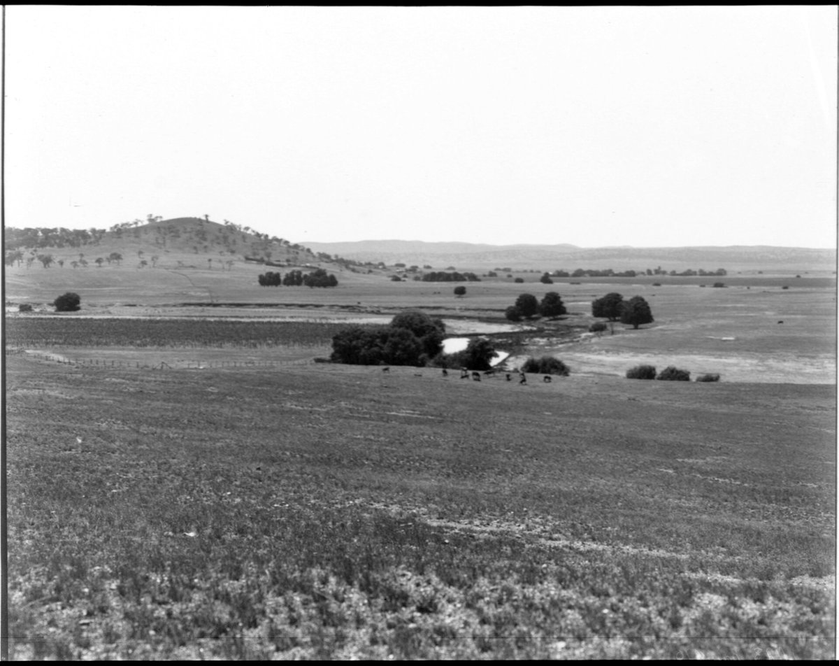 nswarchives's tweet photo. #OTD 18 Oct 1909, NSW agreed to surrender approx. 2400 sq kms of the state for the creation of the Australian Capital Territory. 

Walter Burley Griffin won an international comp in 1912 to design the capital and the name 'Canberra' was announced in 1913 https://t.co/ZgudHZRi2H https://t.co/zNWrmT4fx9