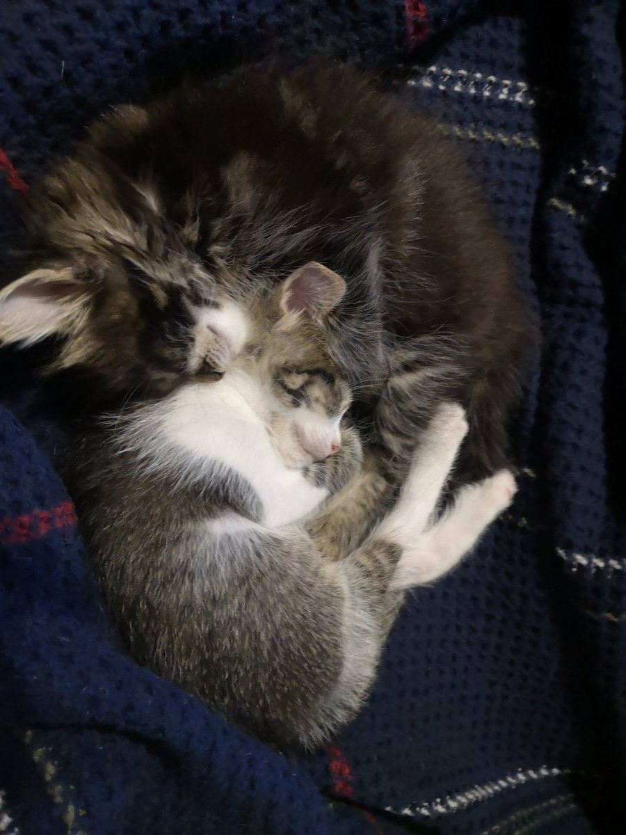 Kimin eli kimin cebinde belli değil :)