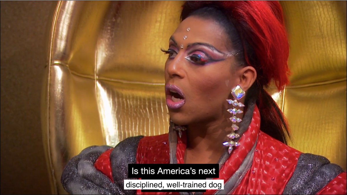 SouthernSlickr's tweet image. I made a low-effort meme for the pups as a treat