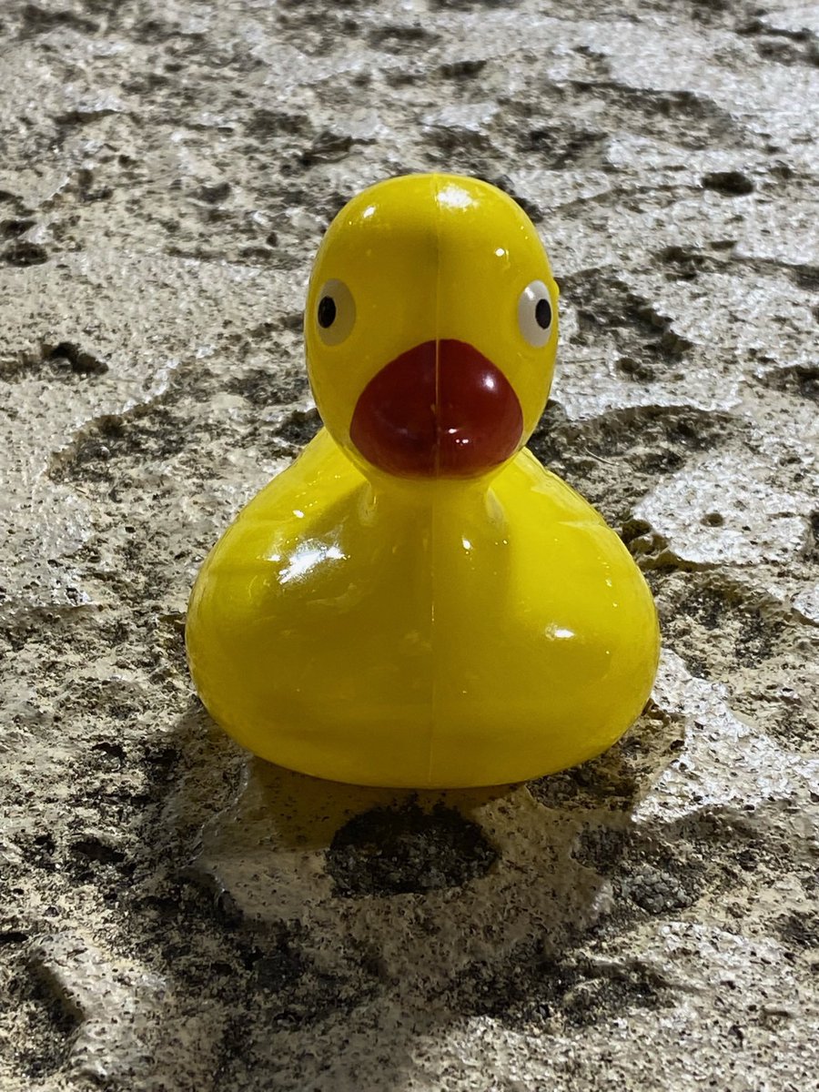 We are a little over 2 weeks away from this year’s Ducktona. Get your tickets while they last.