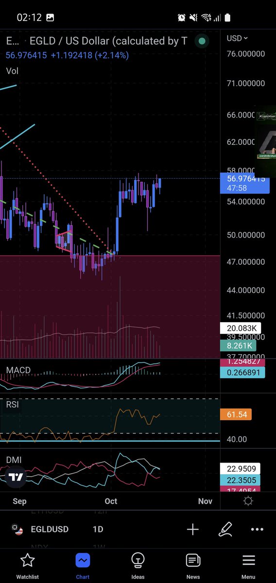 Phoenix Pixels ✖️ NFT tweet media