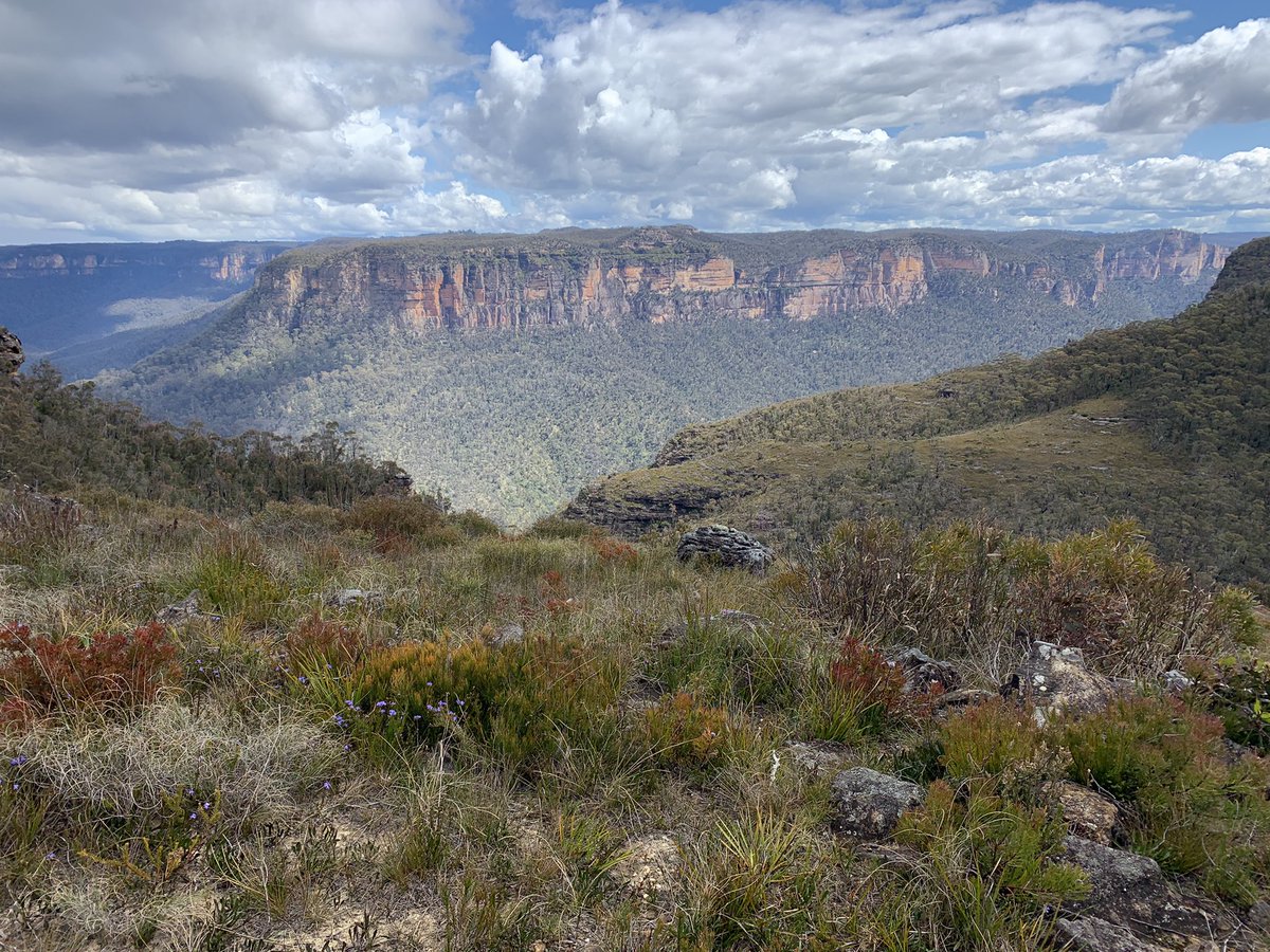 Jimliam's tweet image. #gerconnect22 underway at the Brisbane Multicultural Centre