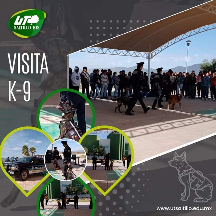 UTSaltillo's tweet image. La UTSaltillo agradece la visita de la Dirección de Proximidad Social y Prevención del Delito así como de  la Unidad Canina  del municipio de Saltillo en la cual se llevó a cabo una charla con  Estudiantes y docentes.

#UTSaltillo #K9