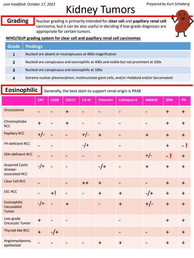 KurtSchaberg's tweet photo. I just finished my revised Kidney Tumor notes for my teaching website, "Kurt's Notes" (https://t.co/OKmaPvoHbB).  Lots of new entities!

🫘🫘🫘🫘🫘🫘🫘🫘🫘🫘🫘🫘🫘🫘🫘🫘🫘🫘🫘🫘🫘🫘🫘🫘🫘🫘🫘🫘🫘

Full notes here: https://t.co/pwPqAmuNws https://t.co/6J65luUM4t