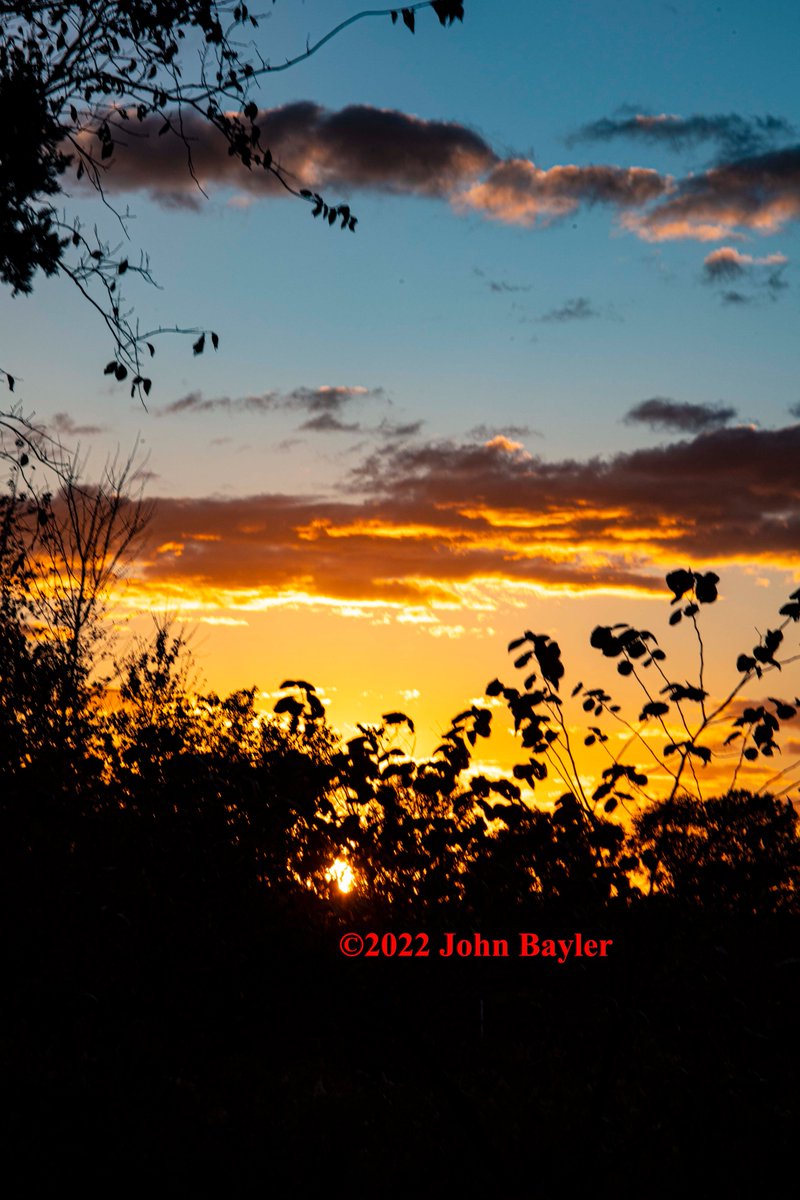 JohnBaylerPhoto's tweet photo. Cold day's sunset. #sunset #sunsetphotography #yellow #coldsunset #octobersunset #johnbaylerphotography #nikon #nikond6 #southernillinois #southernillinoisphotographer https://t.co/6Vrp04TyBm