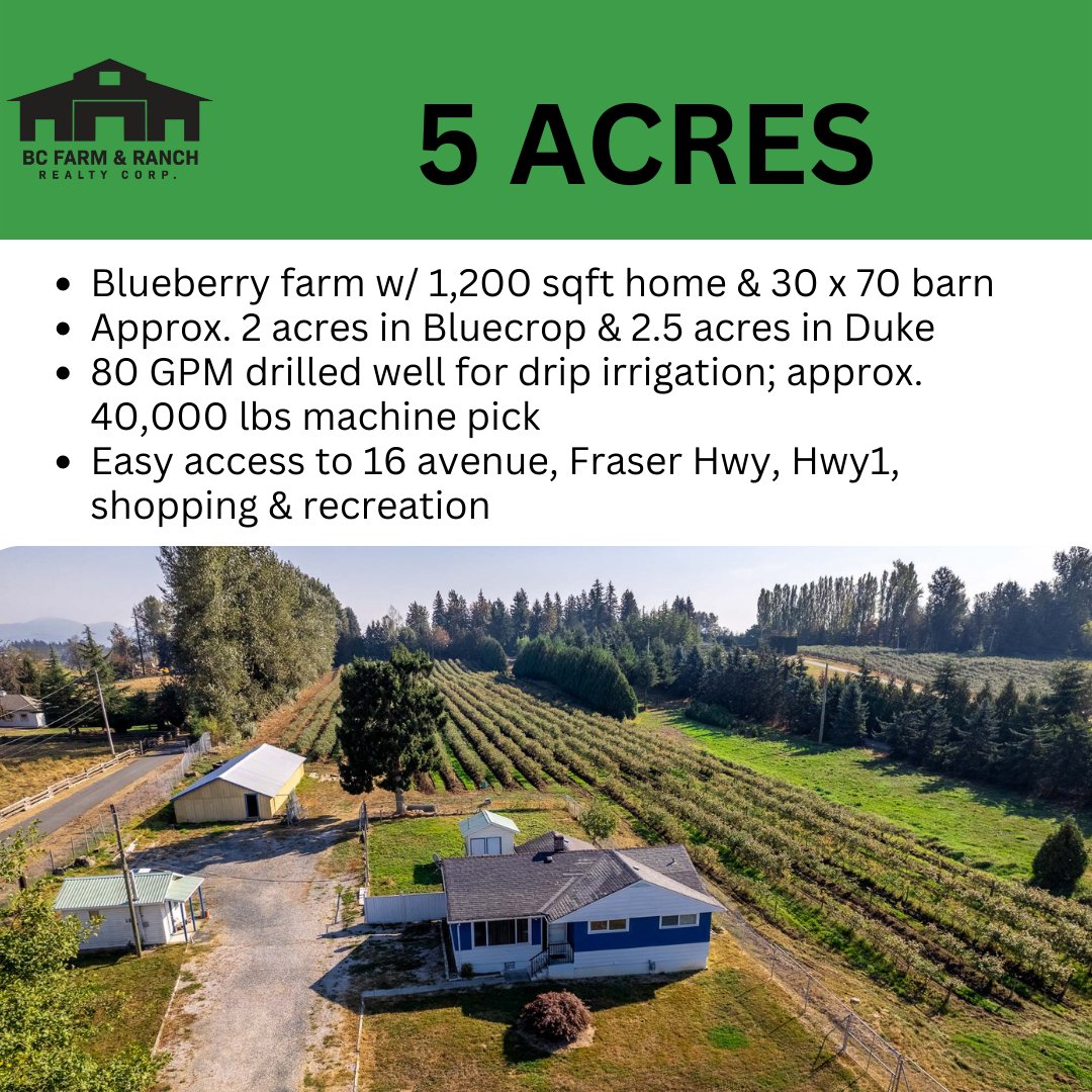 NEW LISTING!

2034 Bradner Road, Abbotsford
$2,699,900 | MLS# R2728563

5 Acre blueberry farm! Property features a nearly 1200 sq/ft home, 30X70 barn!
 Learn more by visiting👇
bcfarmandranch.com/properties/203…