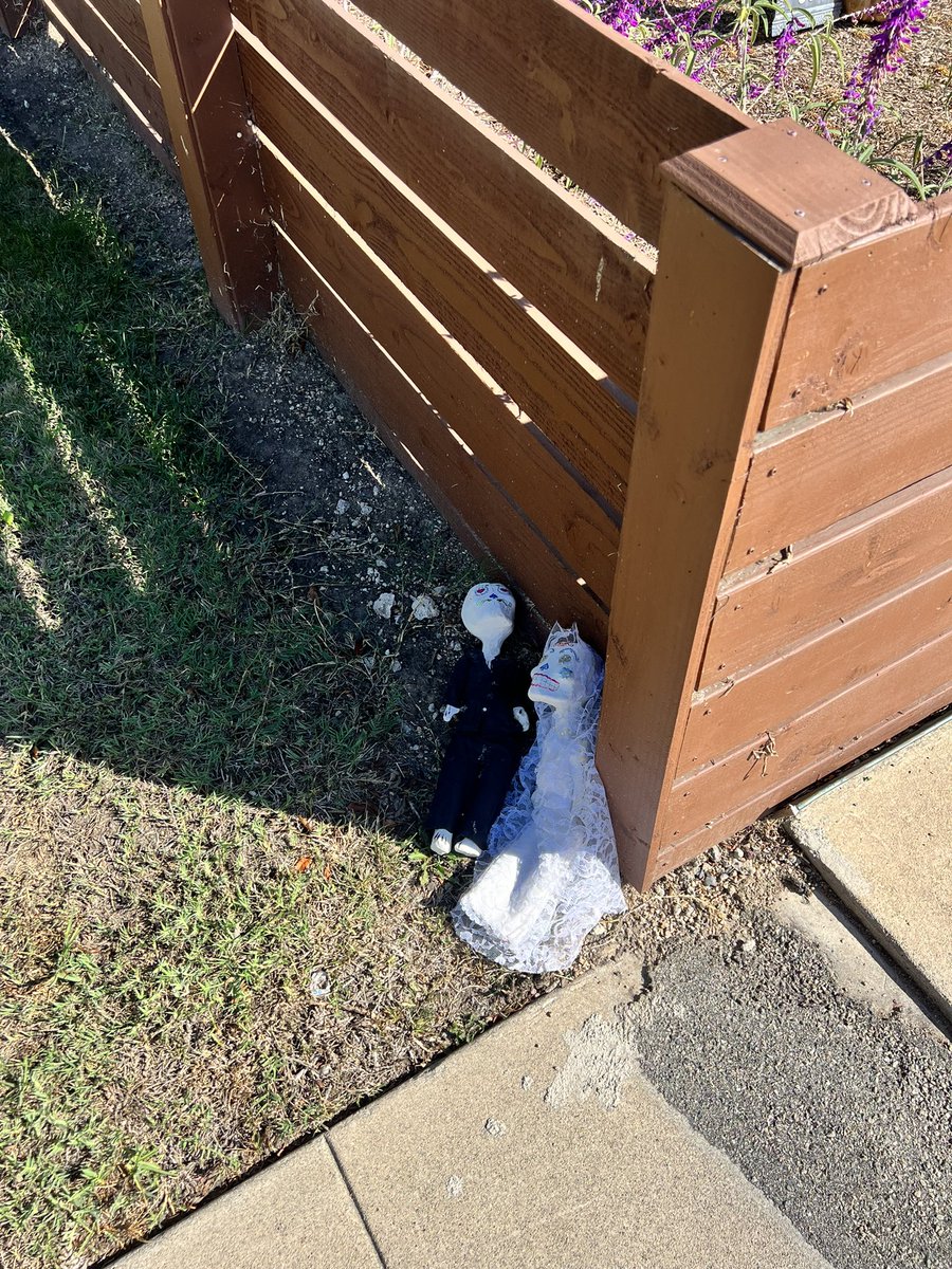 our home is día de Los muertos decorated and someone unknown left us this offering: a bride + groom. 🕯 🌹