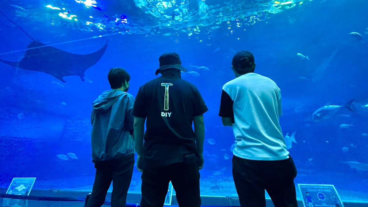 mushioka_daiki's tweet photo. 昆虫採集なう。 https://t.co/4WLBEhm3mj