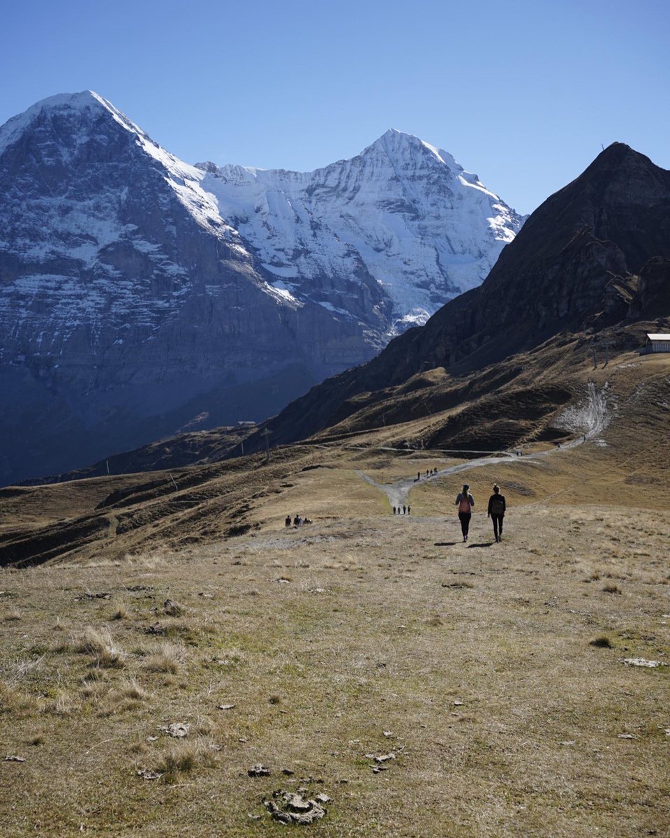 GrindelwaldCH's tweet photo. We can't get enough of these autumn colours 🍂Everything looks golden and the sun is reflected in the falling leaves. Have you already walked the path from Männlichen to Alpiglen? 🍁🍂🏔️

#grindelwald #jungfrauregion #madeinbern 
#inLOVEwithSWITZERLAND @JungfrauRegion https://t.co/P3HkR5ajPE