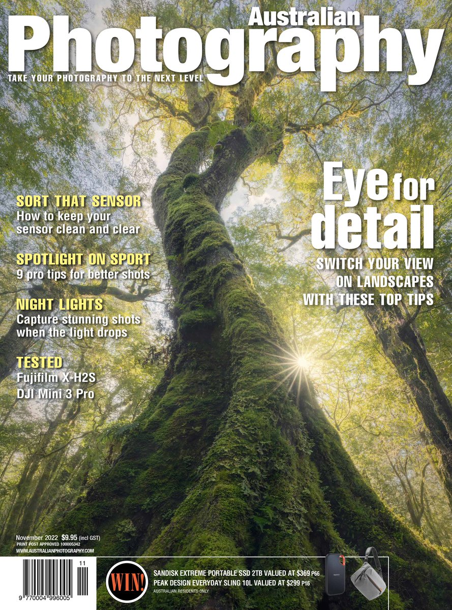 BenjaminMaze1's tweet photo. Catch my image 'Kings of the Canopy' on this month's issue of @ausphotomag! https://t.co/unknqpyHIx