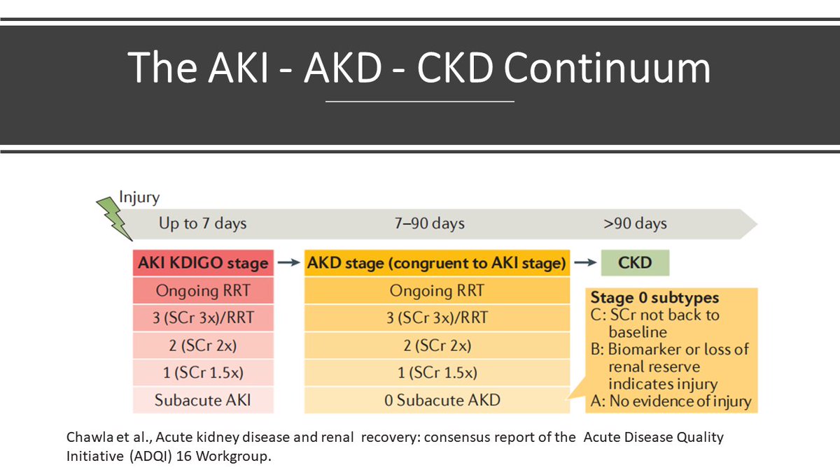 🫣 AKD- What’s in a name? #MedTwitter #NephTwitter take a look at this ...
