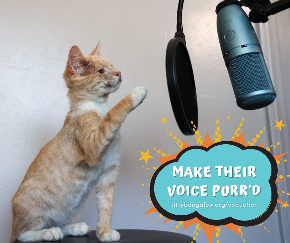 One of the rescues I support, @kittybungalow, is hosting an auction featuring tons of merch from voice actors! EVERY CENT of proceeds from this auction will go to help life-saving rescue efforts for cats in Los Angeles. kittybungalow.org/voauction