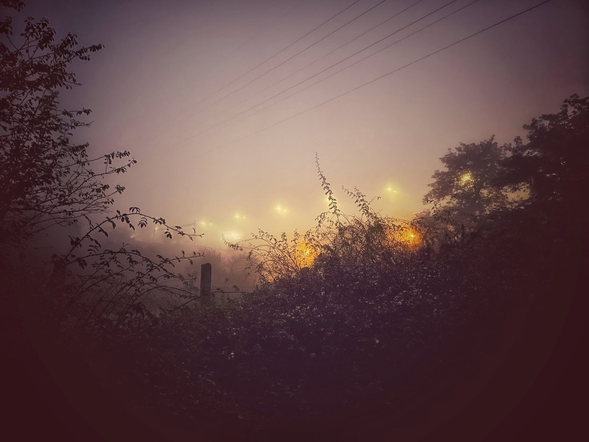 KnihyProDeti's tweet photo. Ráno se psem u Rokytky. Velký černý knírač není vidět 🤷♀️. #mlha #fog #pes #dog #morning #ticho #samota #silence #lonely #mundomendozova #rieserschnauser #giantschnauzer https://t.co/DfS8ASFF3e