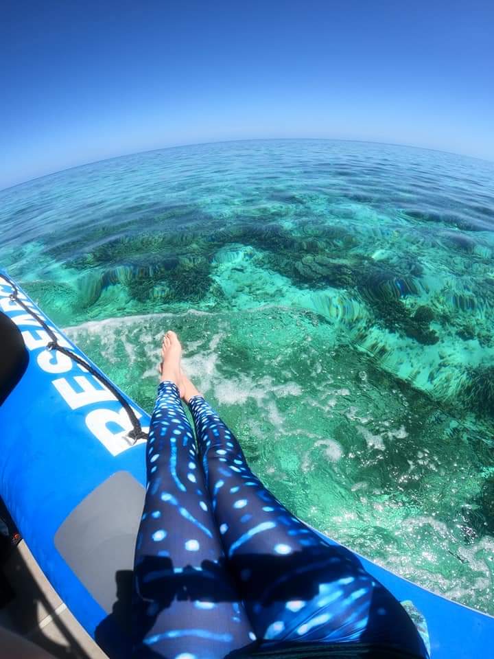 Melissa_Staines's tweet photo. Less than 2 weeks until I'm back on the beautiful Great Barrier Reef 🐠🐚 only this time for teaching with @laurasmith28 and @BellaReboul ! https://t.co/Oex8rEA5fz