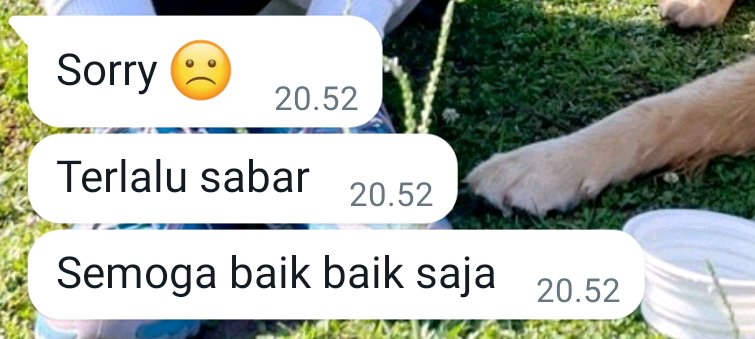 ayl_tari's tweet photo. Tapi sambil ndumel, antara polos sama bego emang. https://t.co/z5tWrd6jzb
