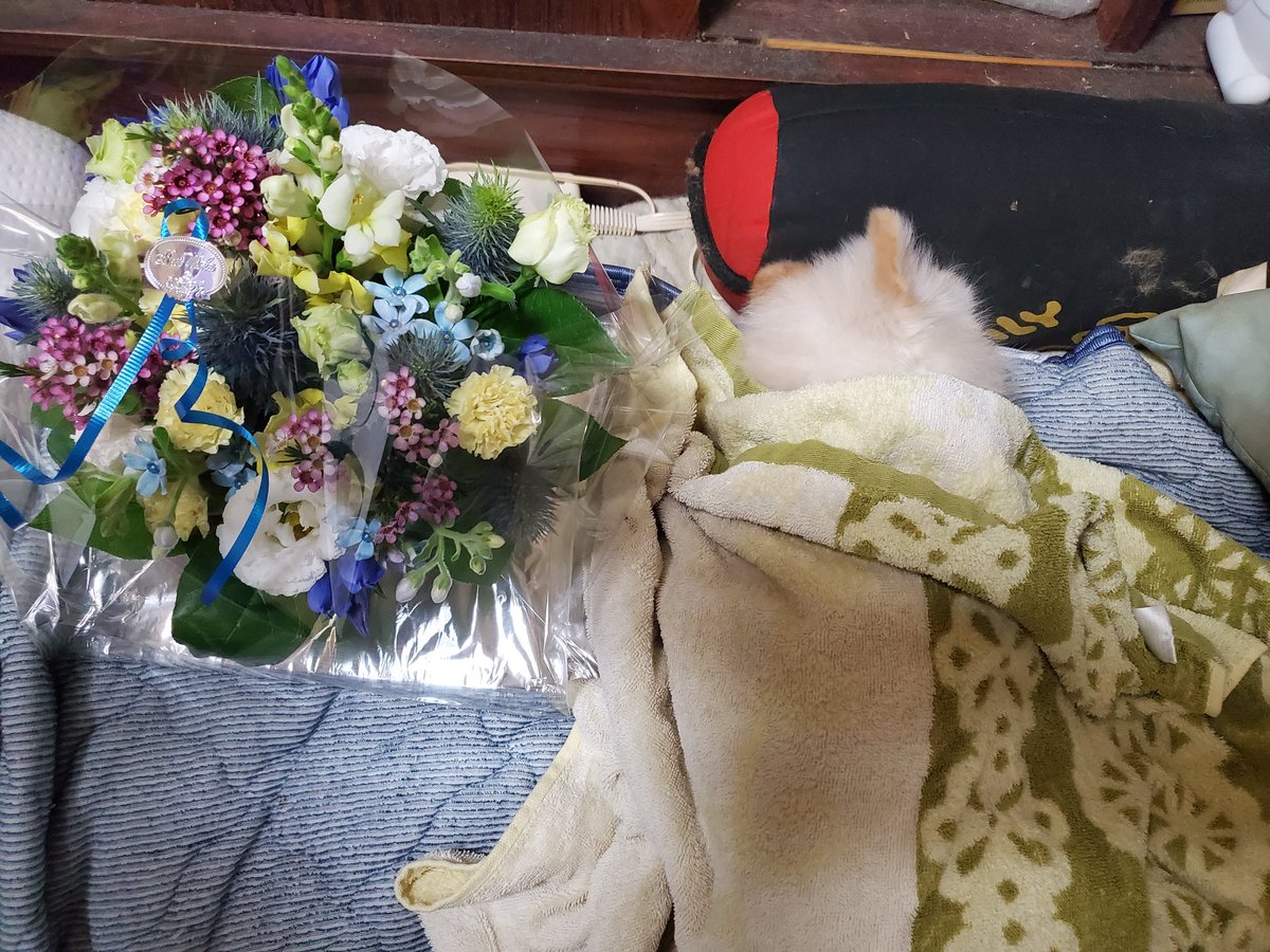y_sakaue2's tweet photo. 病院から、お花が、
届きました。
皆には、いらないと、
言ったのに https://t.co/yEAp7FoS4T