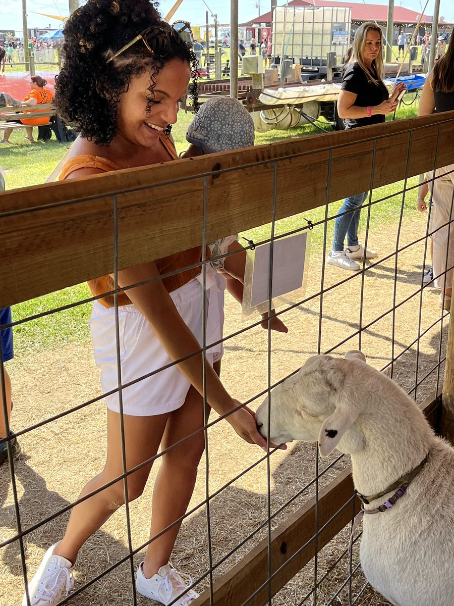 Kelsey Maldonado🌻 (@mrskmaldonado) on Twitter photo 