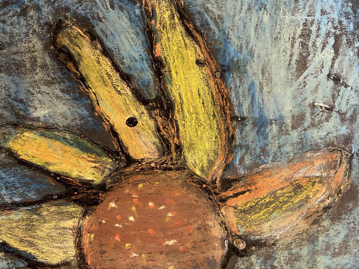 Mrs. Galuppo tweet media