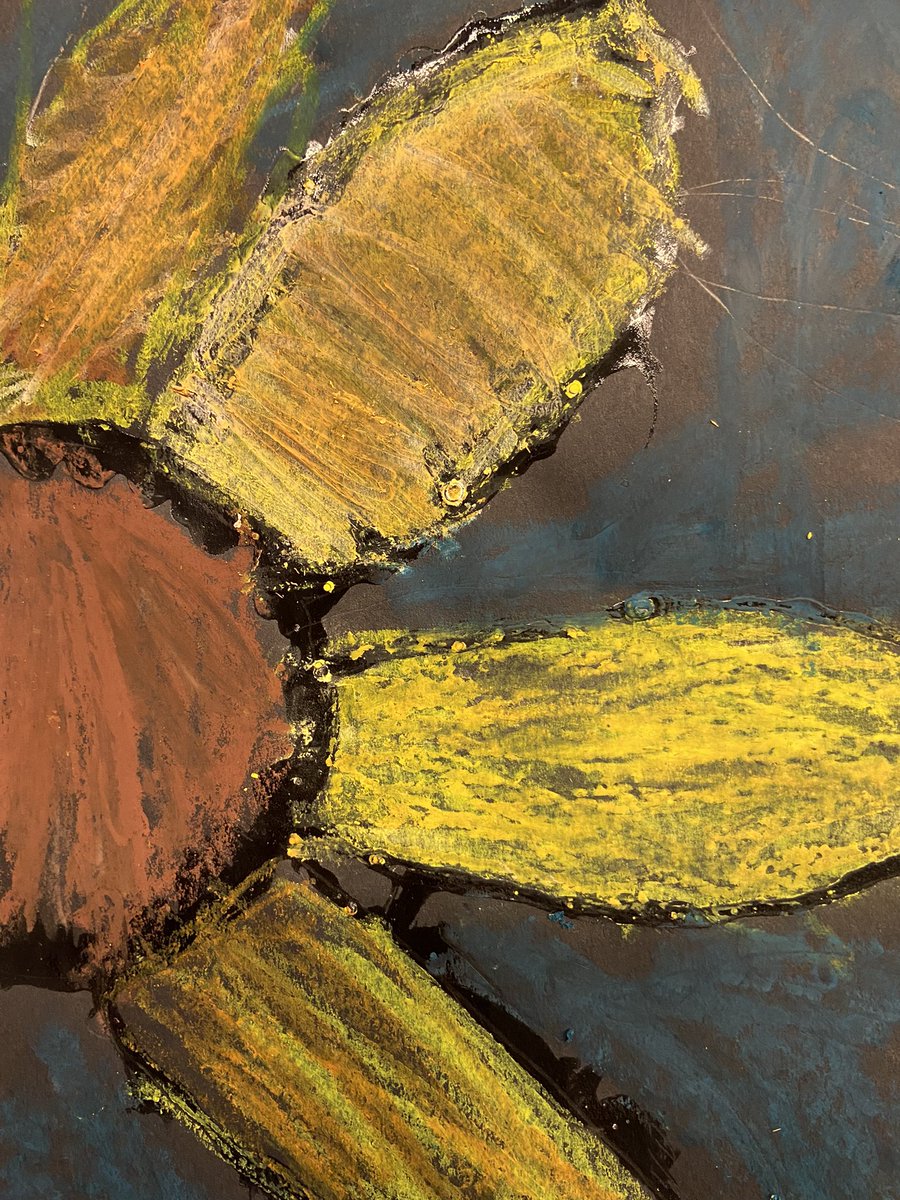 Mrs. Galuppo tweet media