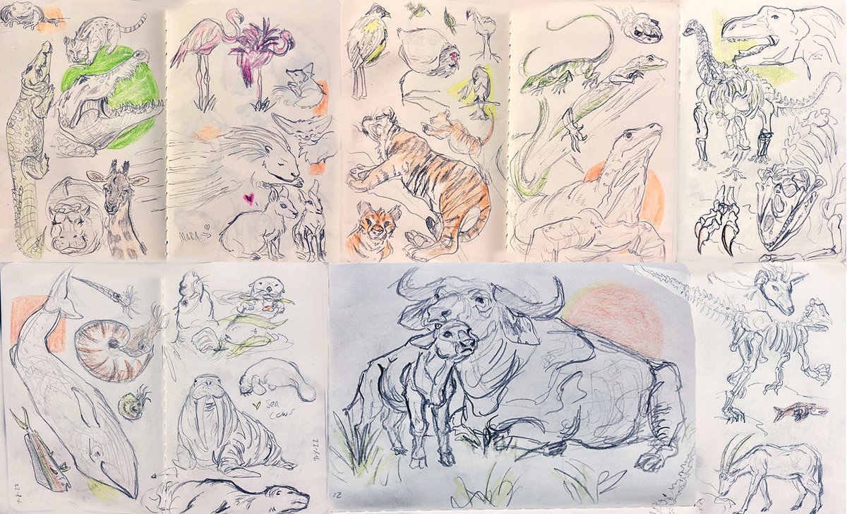 Snackerman's tweet photo. #animal #sketchbook #lifedrawing https://t.co/OLfFSHD2X9