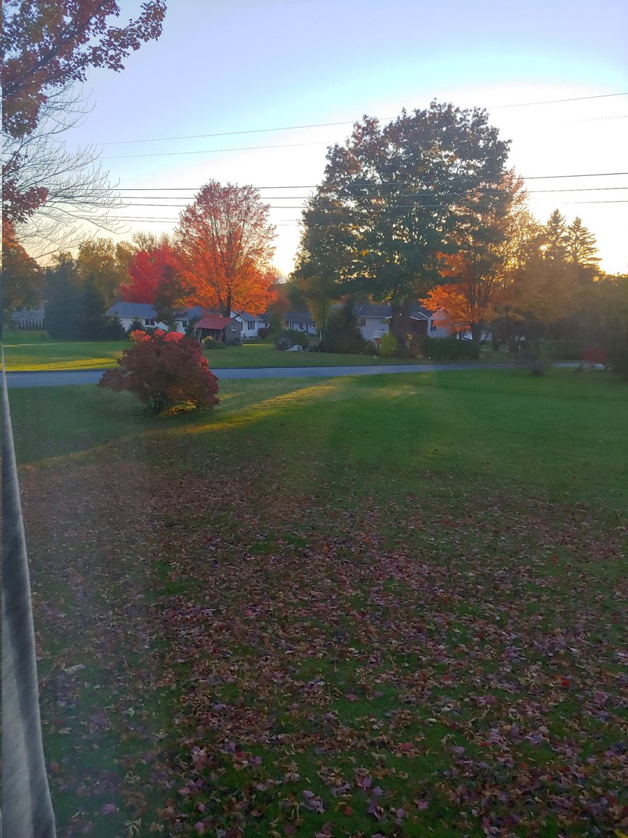 Ben Psaros tweet media