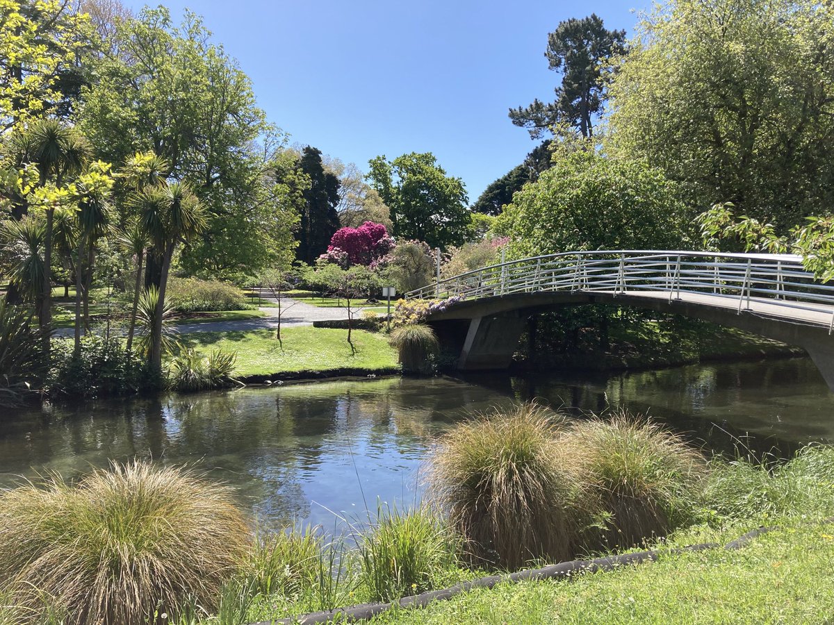 Mike Wall tweet media