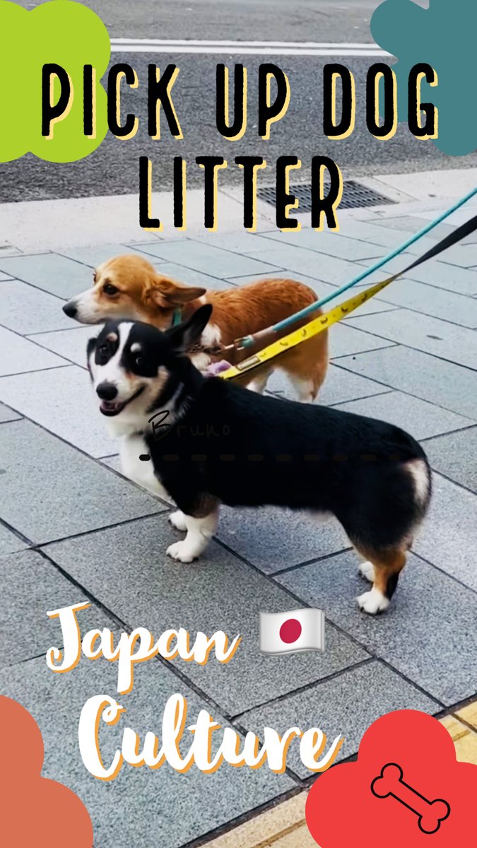 BeautysofJapan's tweet photo. Learn from Japan culture | I was so shocked 👀 to watch this they pick up dog litter.
https://t.co/fDoDx5KNde

#dogoftheday #Dog #doglovers #dogsoftwitter #dogs #dogstagram #dogstagram #lovedogs #doge 
@BeautysofJapan https://t.co/4fqpTEipLE