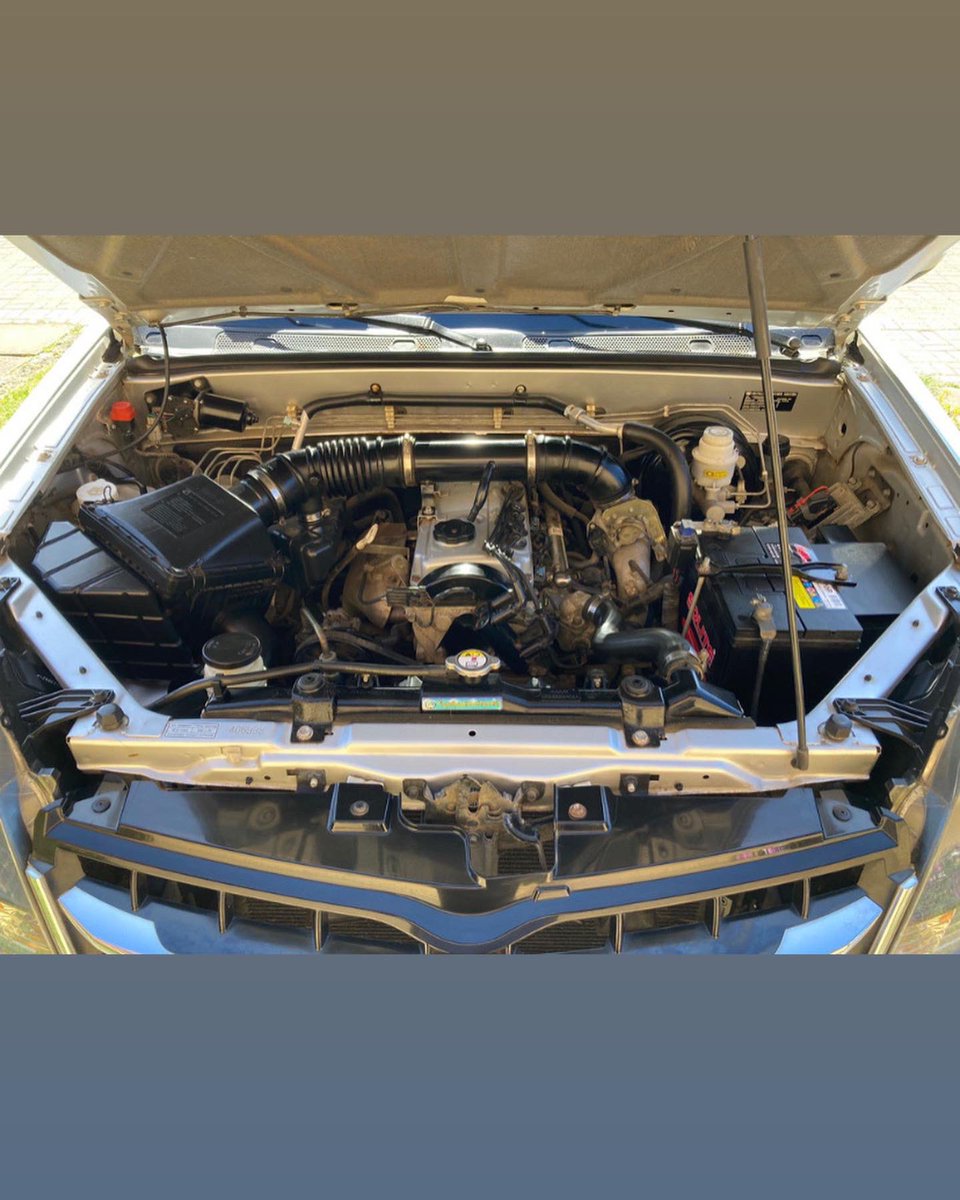 ana merino tweet media