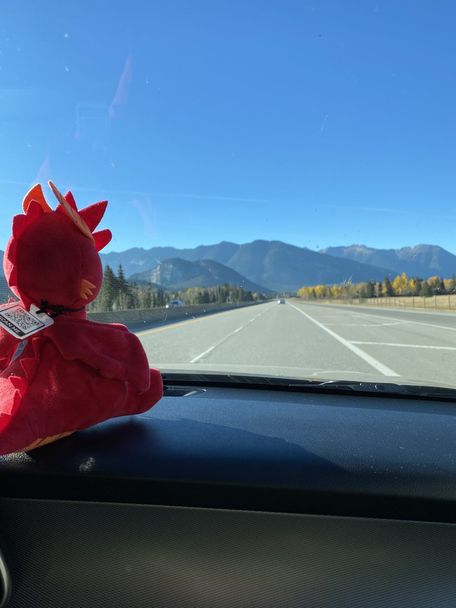 SofieRask2's tweet photo. #dralgothedragon roadtripping in Banff National Park https://t.co/D8ajZev91U
