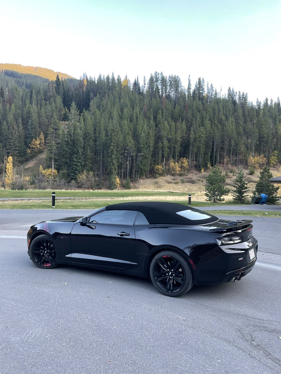 FastHorsesNCars's tweet photo. Saturday was better than my birthday! Finally got my favourite four-wheeled buddy back from the body shop after a literal run in with a deer! Weather is perfect for a reunion! #welcomebackcharlie #panoramaroadtrip https://t.co/sYuIfivlUr