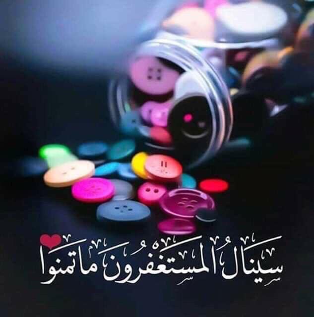 افراح 💕 tweet media