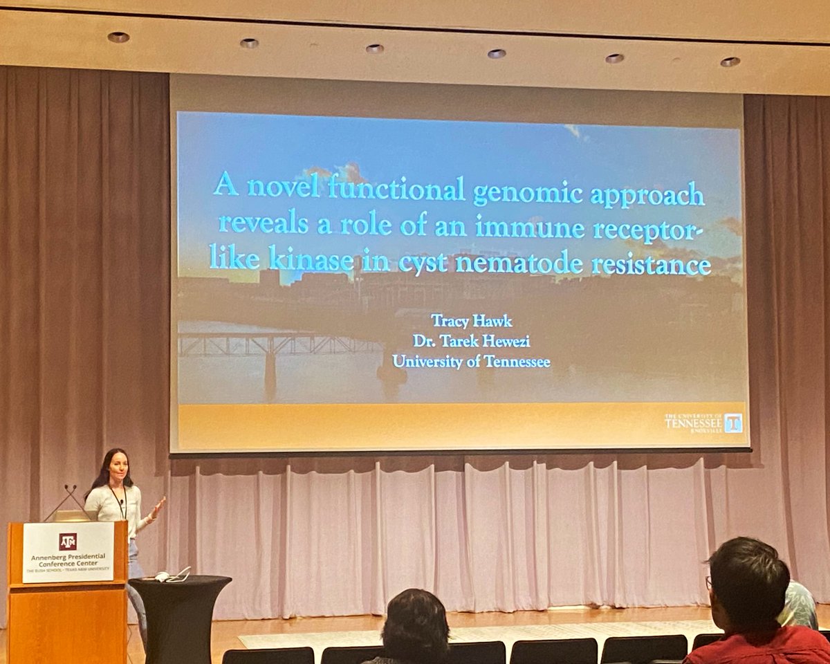 Tracy Hawk tweet media