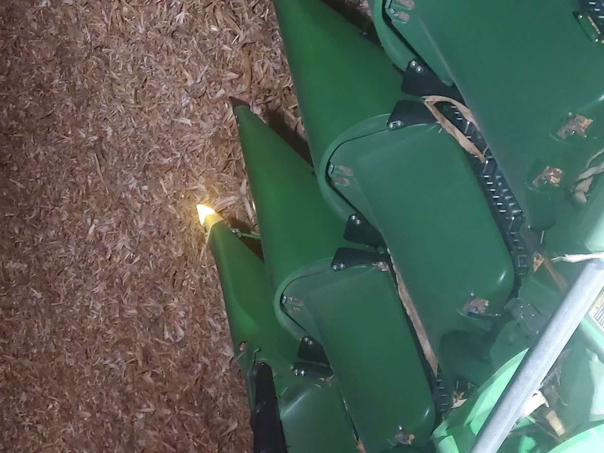 Todd Herbert tweet media