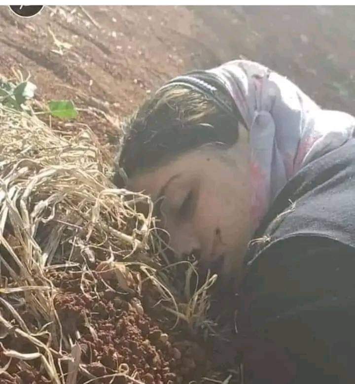 اين الشرفاء من أبناء اليمن الاحرار لينتفضو ليدافعو عن كرامتهم وشرفهم وعلى أرضهم 
من مليشيات الحوثي الذي لم تجعل شي من الإجرام الا وفعلته اين النخوه ياابناء اليمن هل تركتموها وانتم اصل العرب من العار والله احملو سلاحكم ودافعوا على كرامتكم النساء تقتل وتهتك أعراضهن وليس هناك حرآ