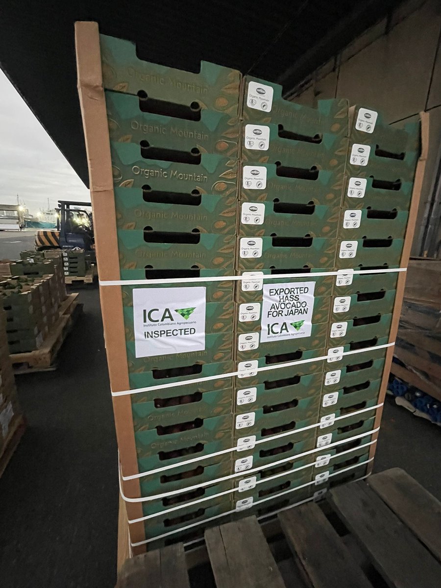 Después de la apertura del mercado japonés, llegan a Tokio los primeros aguacates Hass orgánicos provenientes de la Sierra Nevada de Santa Marta. El país asiático, que importa 76.000 toneladas anualmente, ahora recibe un producto 100% orgánico y sostenible. <a href="/DaabonOrganic/">ダーボン・ジャパン株式会社</a> 🇯🇵🇨🇴