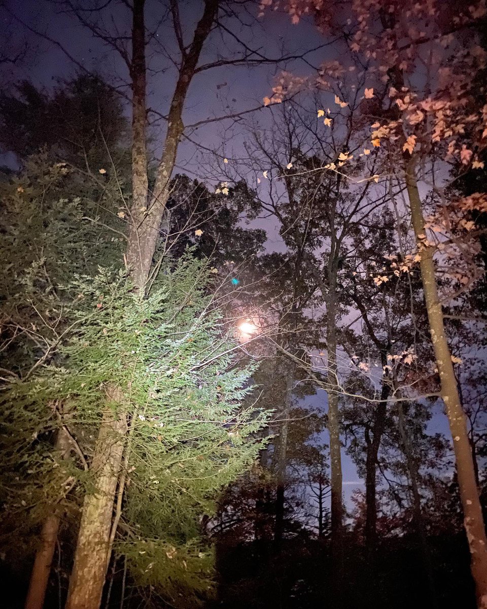 Spooky season backcountry camping 🎃
•
#rrg #redrivergorge #camping