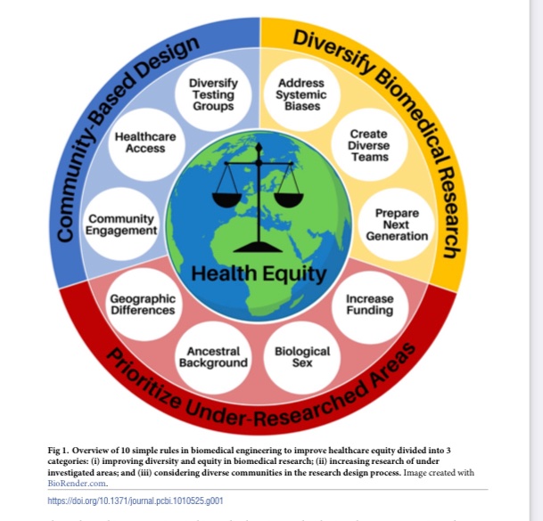 Liv_nano_'s tweet photo. Now that everyone should be home from BMES here is a reminder that our paper is out! Please read to learn about ways to incorporate inclusive design into your work and promote #healthequity  
https://t.co/RzPC2wZ5nU

@MykelDGreen @cosgriffhernan @GildaBarabino https://t.co/rIa4YwEpUC