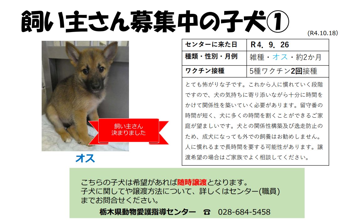 栃木県動物愛護指導センター Tochigi D A S C Twitter