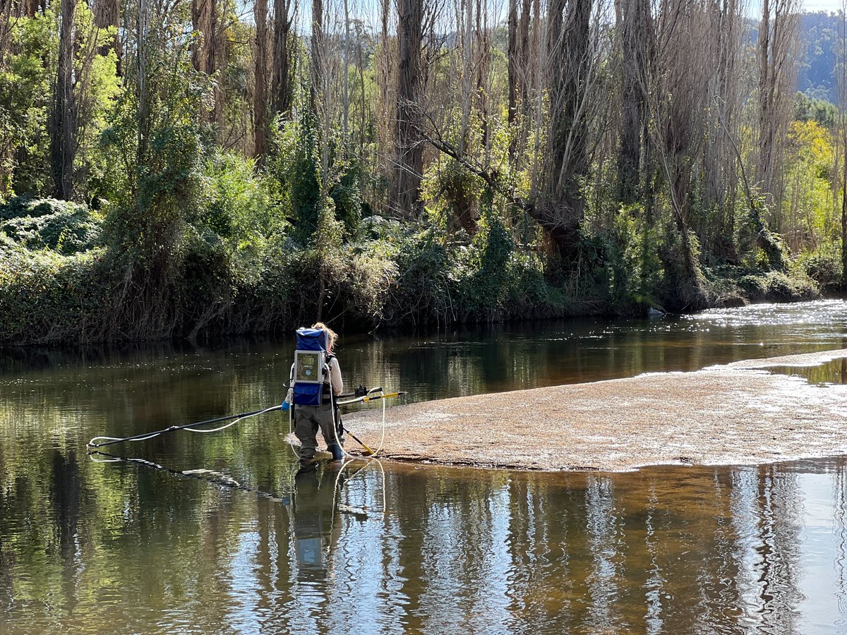 NSWDCCEEW_Water's tweet photo. In 2022, our teams surveyed 16 floodplain pools across the #Namoi, #Gwydir and #BorderRiver floodplains.
We found DNA traces from 54 animal species, including large fish like the #MurrayCod and #GoldenPerch.
#NationalWaterWeek #SurfaceWaterScience https://t.co/oCL7NDXkNL