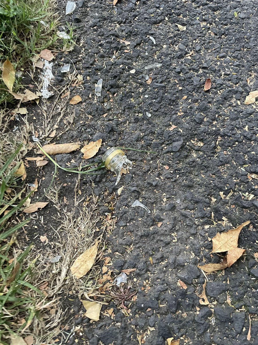 JegaII's tweet photo. Hoy, mientras paseaba a mi perro, un chavo como de 20 años rompió una botella de vidrio que encontró en el suelo y - de la nada - empezó a perseguirme con la parte grande rota, supongo que para asaltarme.
Foto de la parte botella rota que quedó en el suelo (casi nada): https://t.co/Hyj1ba9j8Y