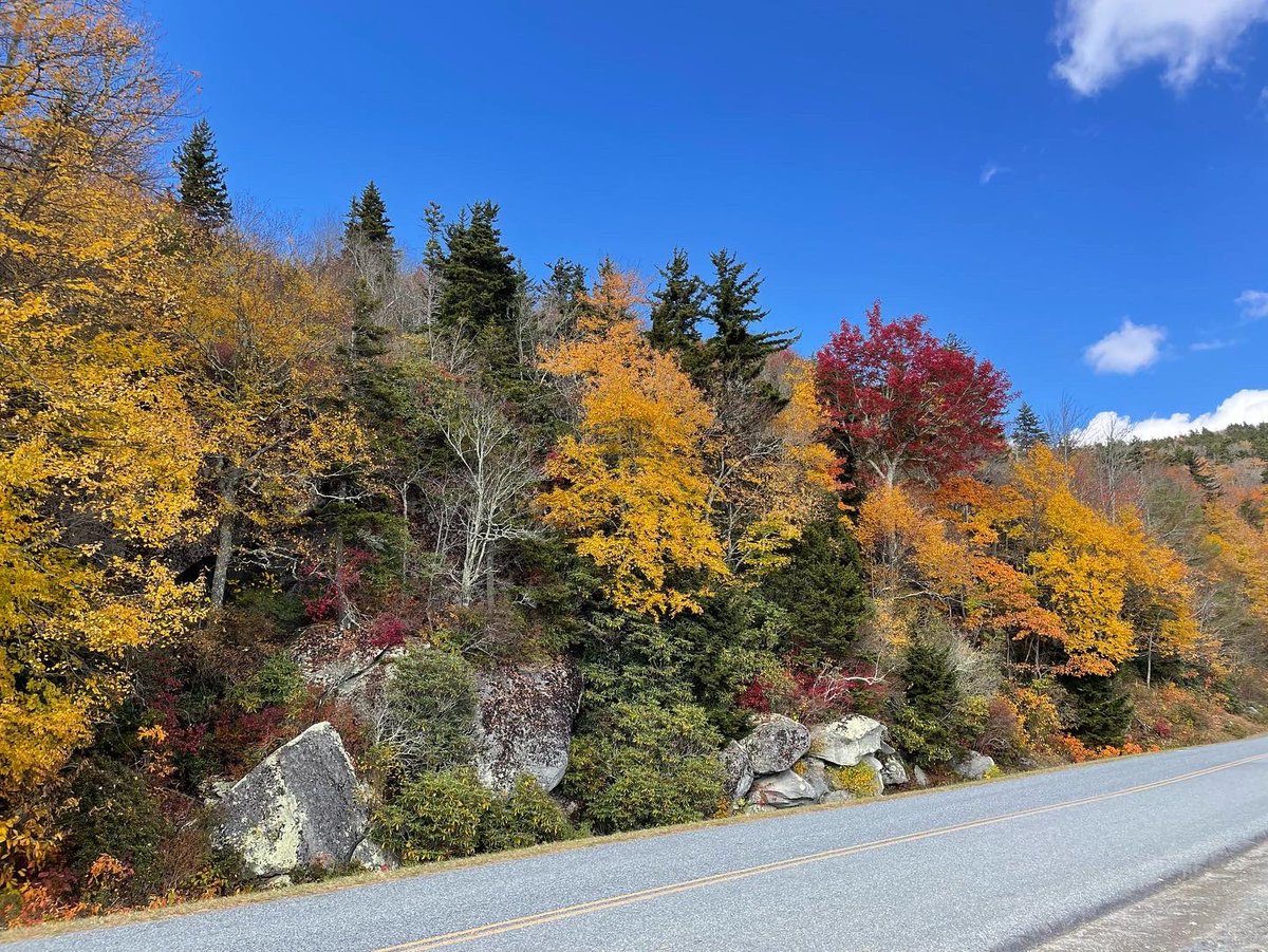 lanie pope on Twitter "In this week’s Go Lanie I take the “Fall Color