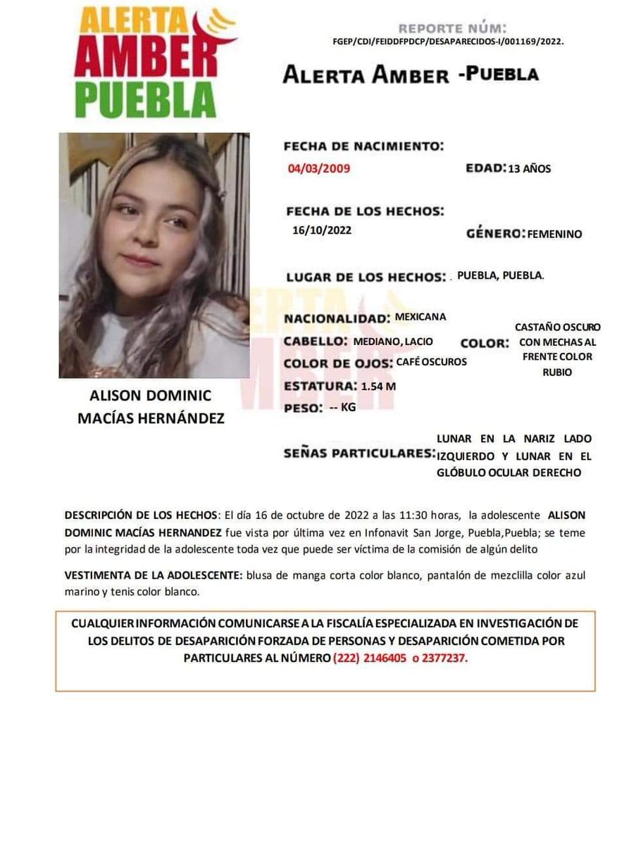 #TeBuscamos 🔴 Alison Dominic Macías Hernández, de 13 años, desapareció el 16 de octubre en el Infonavit San Jorge, Puebla, Puebla; su familia teme por su integridad, porque aparentemente, se la llevó un sujeto. Si tienes información comunícate al ☎️ 22 12 83 81 42 o al 911.