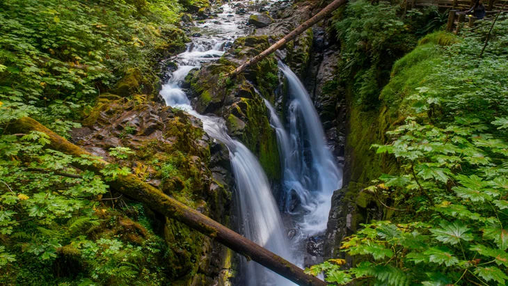 outsidemagazine's tweet photo. Ski in the morning, hike through an old-growth forest that same afternoon, then camp on the beach at night—welcome to Olympic National Park https://t.co/SvI1b4DKSU https://t.co/FW8rb7nNEw