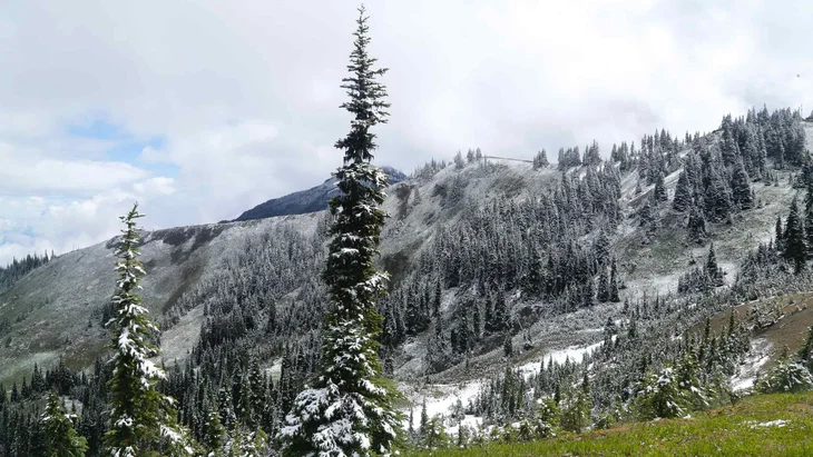 outsidemagazine's tweet photo. Ski in the morning, hike through an old-growth forest that same afternoon, then camp on the beach at night—welcome to Olympic National Park https://t.co/SvI1b4DKSU https://t.co/FW8rb7nNEw