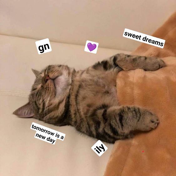 MagicEden's tweet photo. gn💜 https://t.co/DNF8NtzFzM